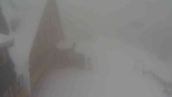 Parkoviště a hlavní vchod