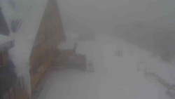 Parkoviště a hlavní vchod