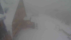 Parkoviště a hlavní vchod