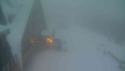 Parkoviště a hlavní vchod