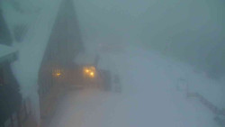 Parkoviště a hlavní vchod