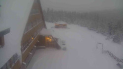 Parkoviště a hlavní vchod