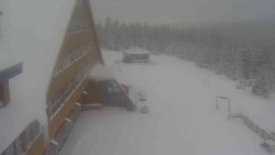 Parkoviště a hlavní vchod