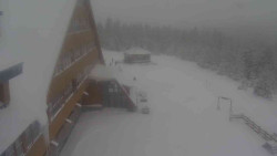 Parkoviště a hlavní vchod