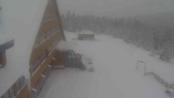 Parkoviště a hlavní vchod