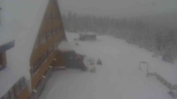 Parkoviště a hlavní vchod