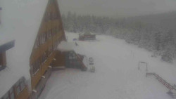 Parkoviště a hlavní vchod