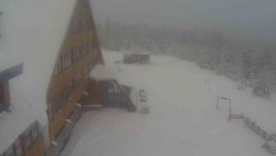 Parkoviště a hlavní vchod