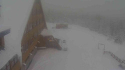 Parkoviště a hlavní vchod