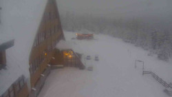 Parkoviště a hlavní vchod