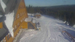 Parkoviště a hlavní vchod