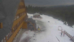 Parkoviště a hlavní vchod