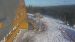 Parkoviště a hlavní vchod