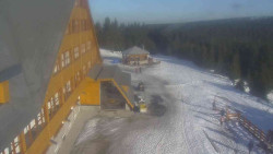 Parkoviště a hlavní vchod