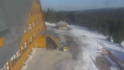 Parkoviště a hlavní vchod