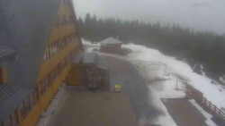 Parkoviště a hlavní vchod