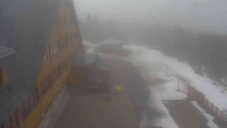 Parkoviště a hlavní vchod