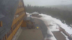 Parkoviště a hlavní vchod