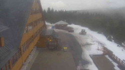 Parkoviště a hlavní vchod