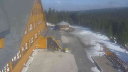 Parkoviště a hlavní vchod