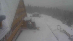 Parkoviště a hlavní vchod