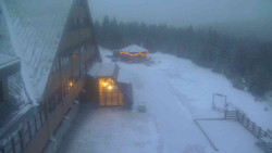 Parkoviště a hlavní vchod