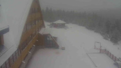 Parkoviště a hlavní vchod