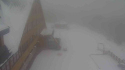 Parkoviště a hlavní vchod