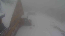 Parkoviště a hlavní vchod