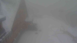 Parkoviště a hlavní vchod