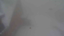 Parkoviště a hlavní vchod