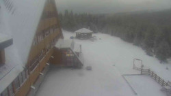 Parkoviště a hlavní vchod