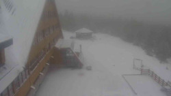 Parkoviště a hlavní vchod