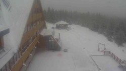 Parkoviště a hlavní vchod