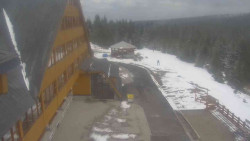 Parkoviště a hlavní vchod