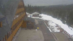 Parkoviště a hlavní vchod