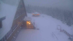 Parkoviště a hlavní vchod