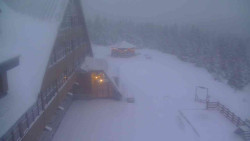 Parkoviště a hlavní vchod