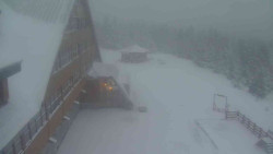 Parkoviště a hlavní vchod