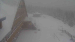 Parkoviště a hlavní vchod