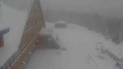 Parkoviště a hlavní vchod