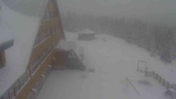 Parkoviště a hlavní vchod