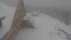 Parkoviště a hlavní vchod