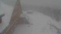 Parkoviště a hlavní vchod