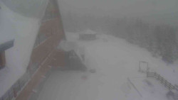 Parkoviště a hlavní vchod