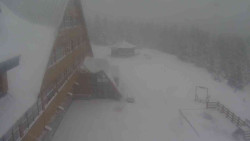 Parkoviště a hlavní vchod