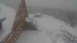 Parkoviště a hlavní vchod