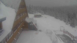 Parkoviště a hlavní vchod