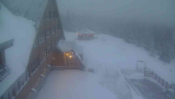 Parkoviště a hlavní vchod