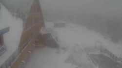 Parkoviště a hlavní vchod